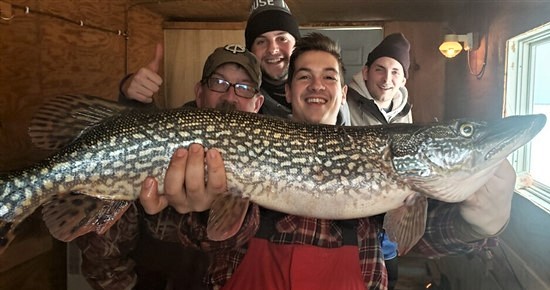 Big Pike in fish house 2