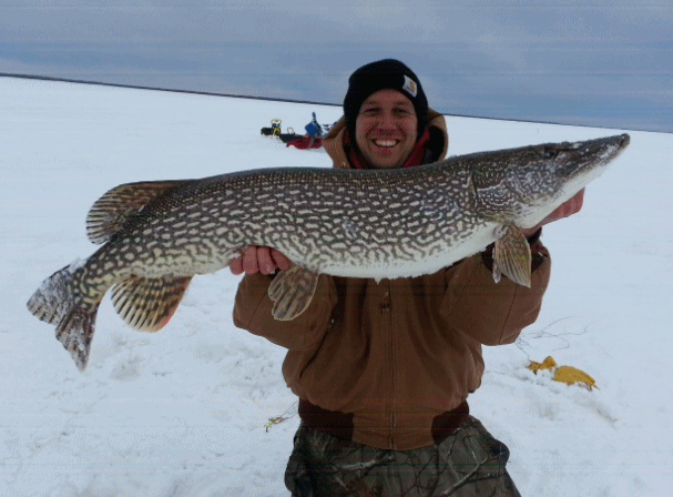 Keith 43.5 inch Pike